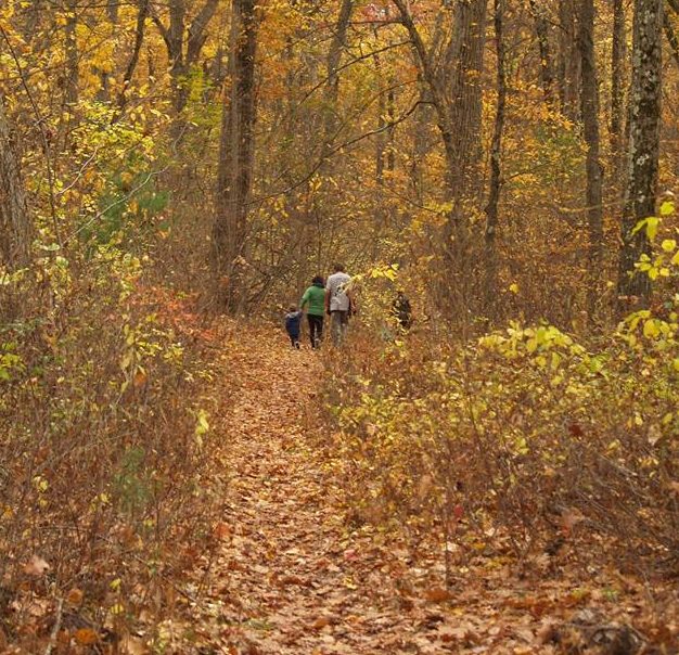 trail 5k, 5k running